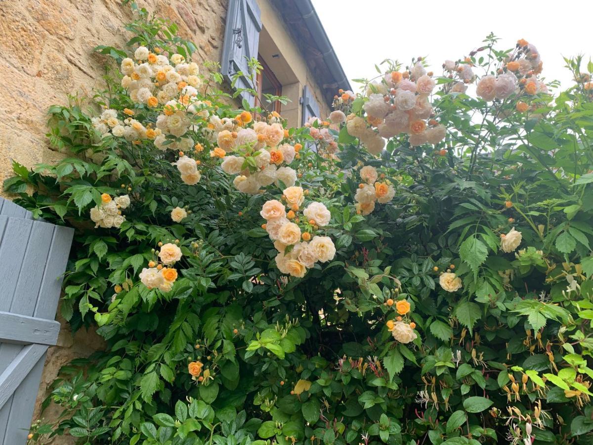 La Riviere Esperance Villa Veyrignac Екстериор снимка