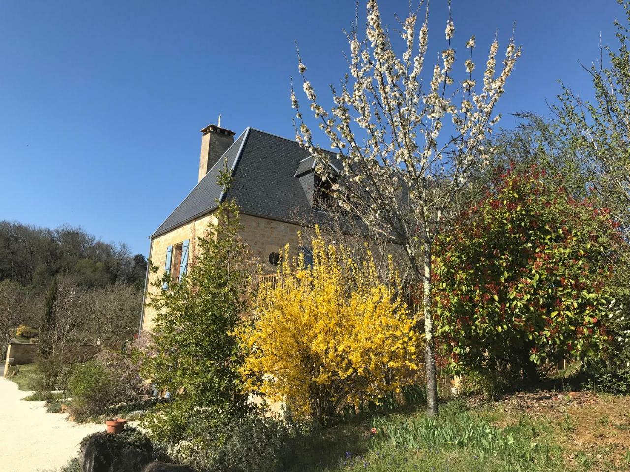 La Riviere Esperance Villa Veyrignac Екстериор снимка